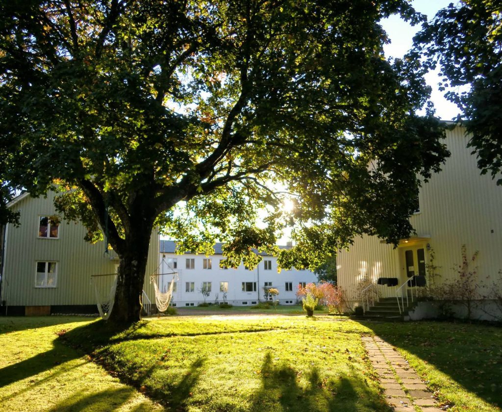 The programs featured image