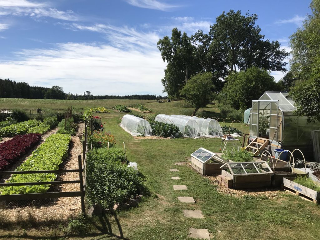 The programs featured image